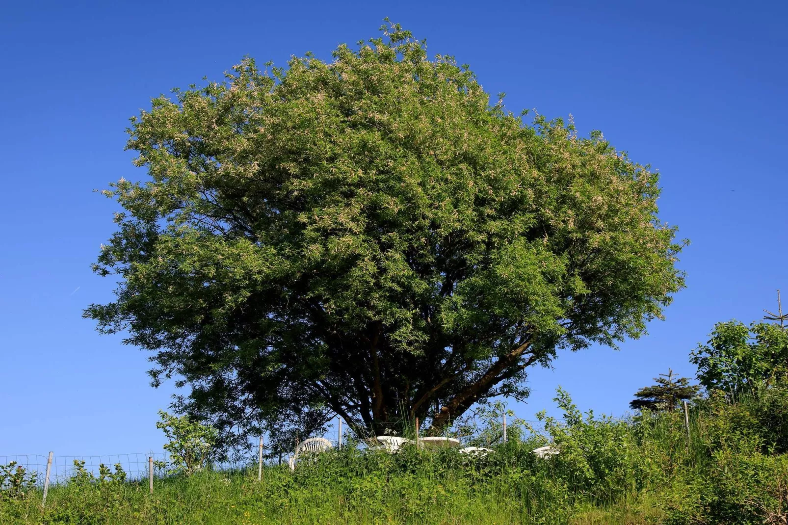 Maison de vacances pour 6 a Knebel-By Traum - Non tagué