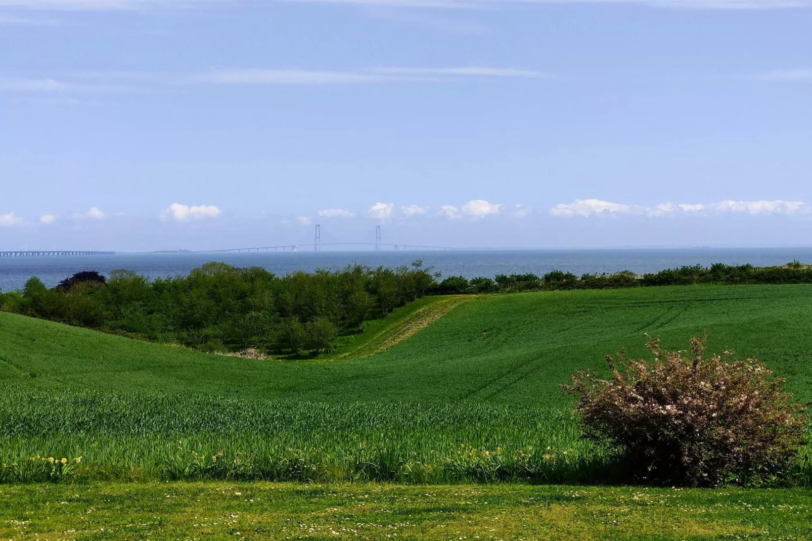 5 Personen Ferienhaus in Frørup-By Traum-Nicht zugeordnet