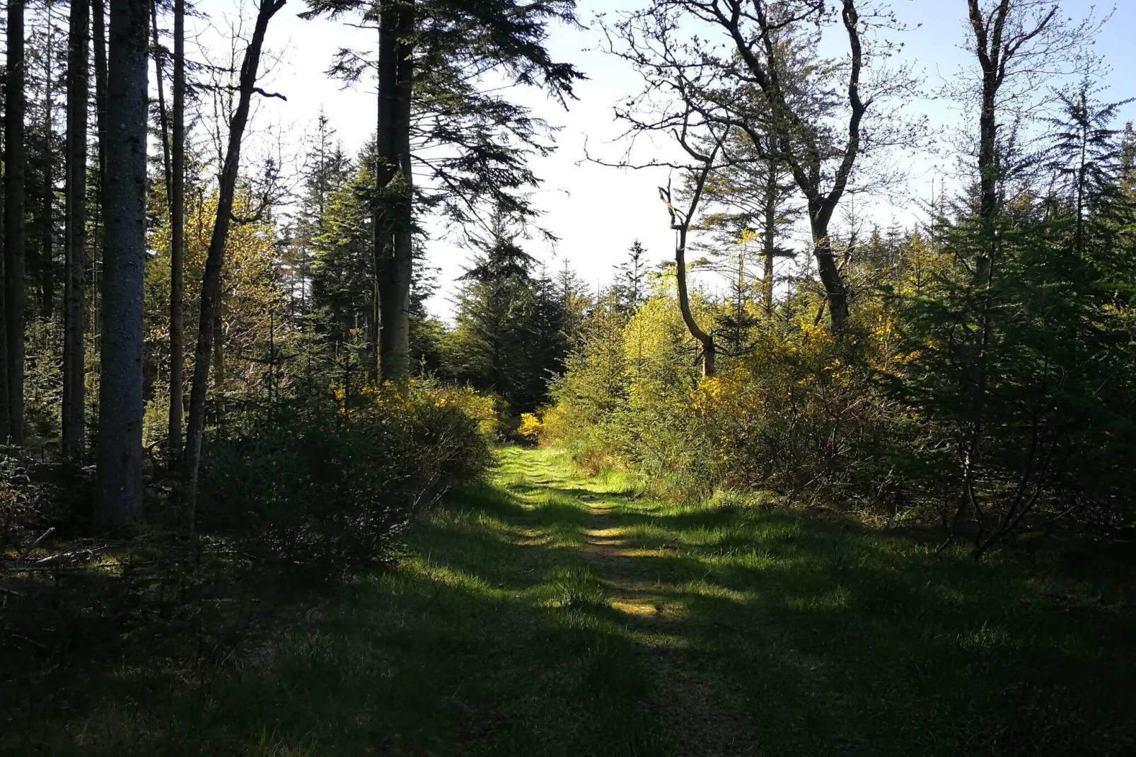 Tranquil Retreat in Klitmoller - By Traum Ferienwohnungen