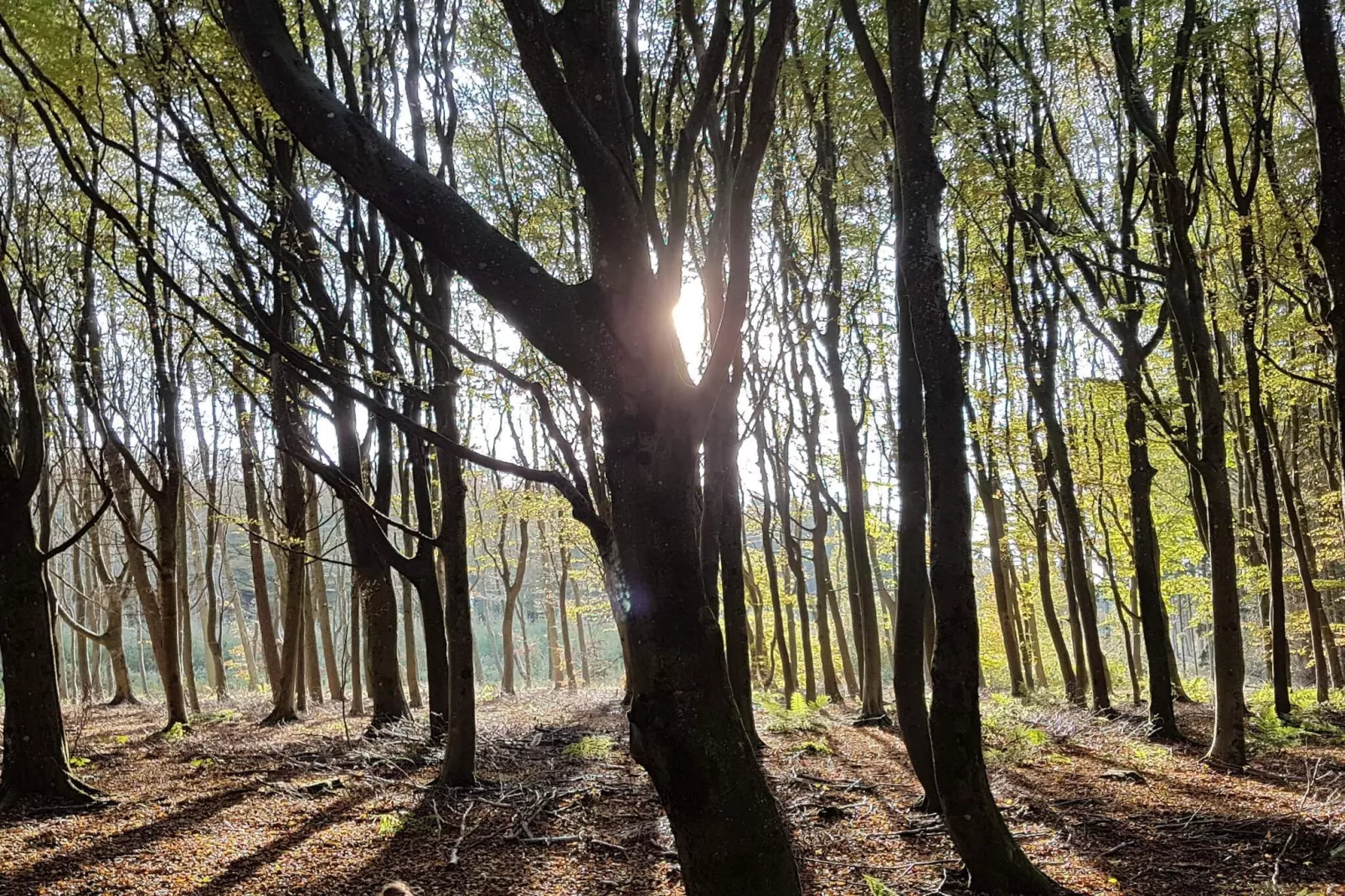 9 Personen Ferienhaus in Blokhus-By Traum-Nicht zugeordnet