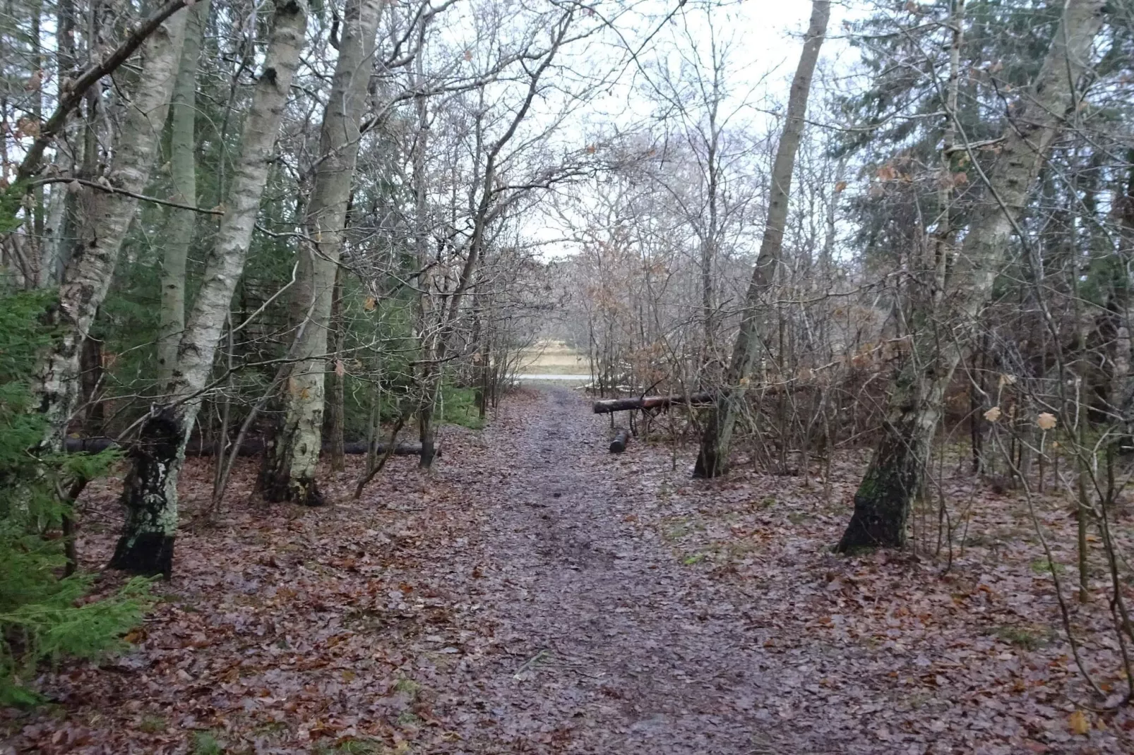 8 Personen Ferienhaus in Gilleleje