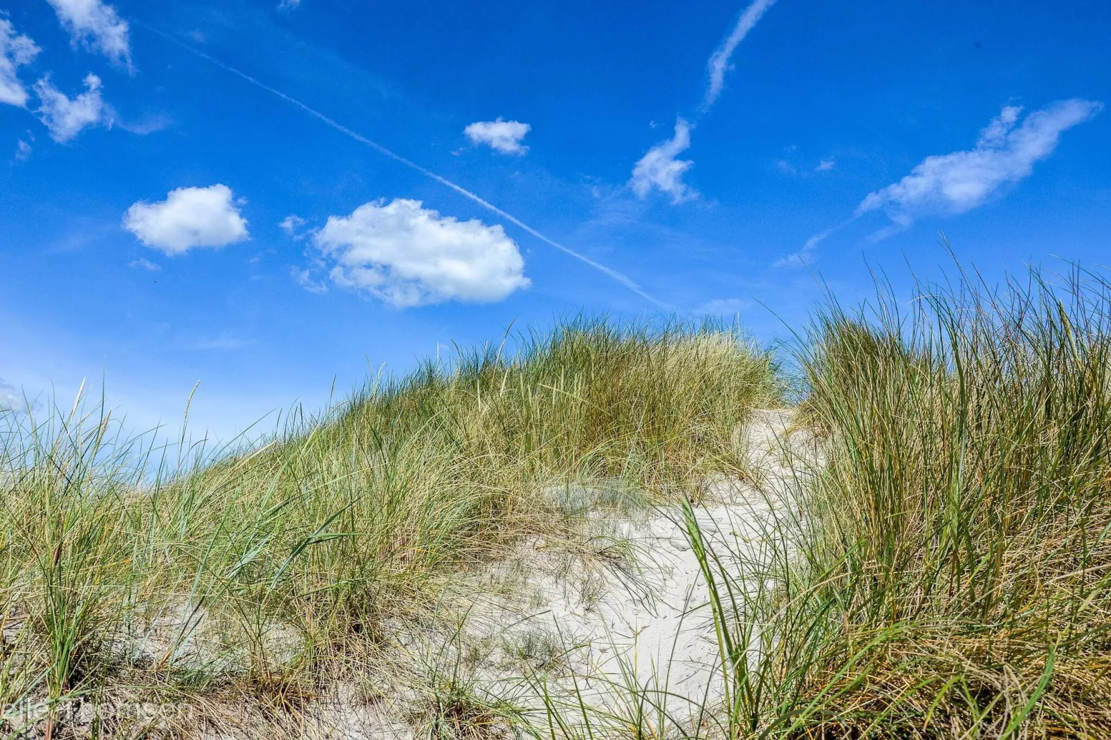 8 person holiday home in Ålbæk-By Traum-Untagged