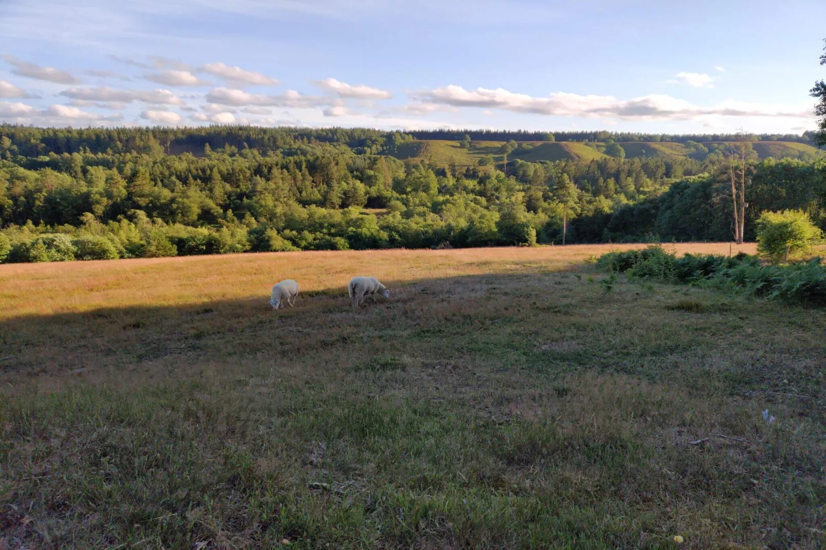 6 person holiday home in Silkeborg-By Traum