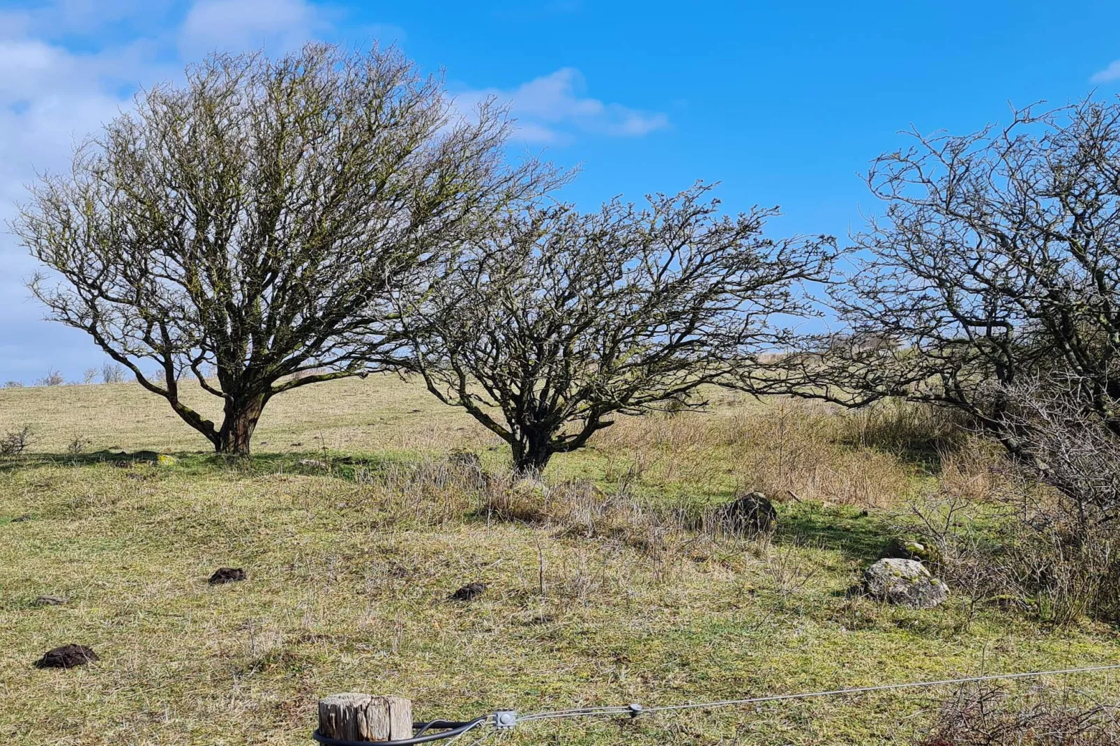 6 person holiday home in Humble-By Traum-Untagged