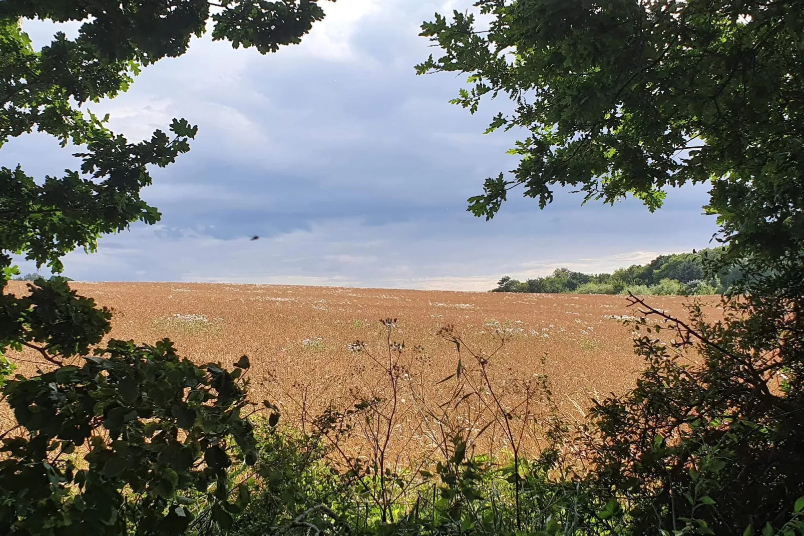 Idyllisches Meer in Svaneke -- By Traum Ferienwohnungen-Nicht zugeordnet