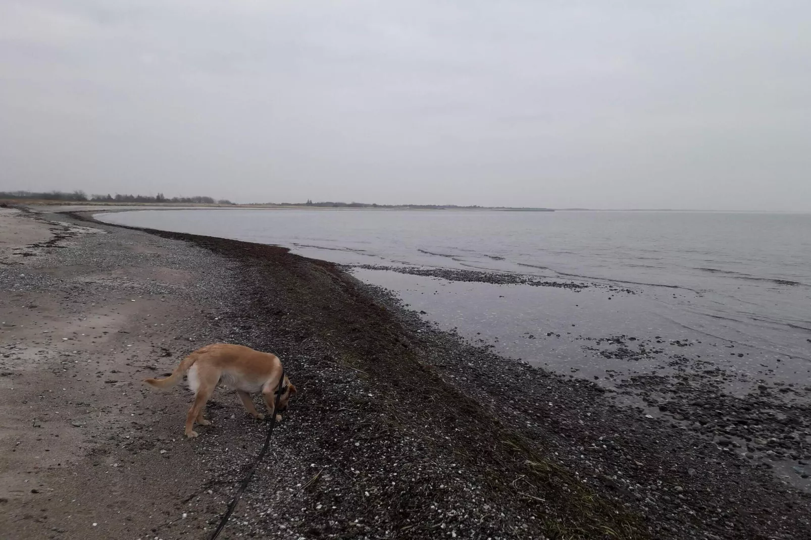 10 person holiday home in Rødby-By Traum-Water view