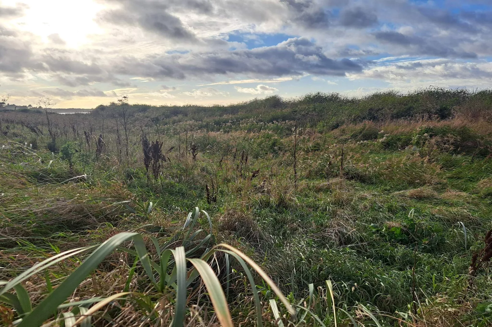 6 person holiday home in Kalundborg-By Traum-Untagged
