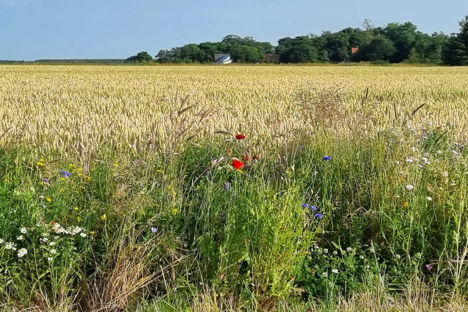Seaside Escape with Spa - By Traum Ferienwohnungen-Untagged
