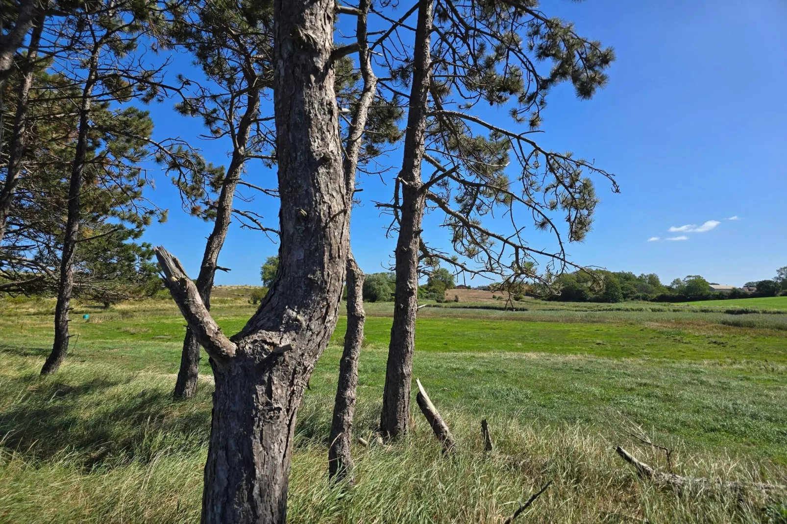 Retraite de luxe près de la mer -- By Traum Ferienwohnungen