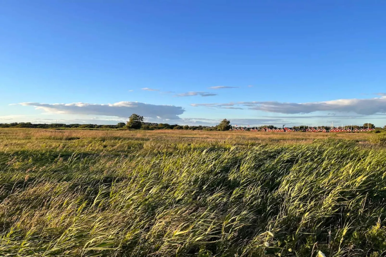 Maison de vacances pour 2 a FALKENBERG-By Traum-Non tagué