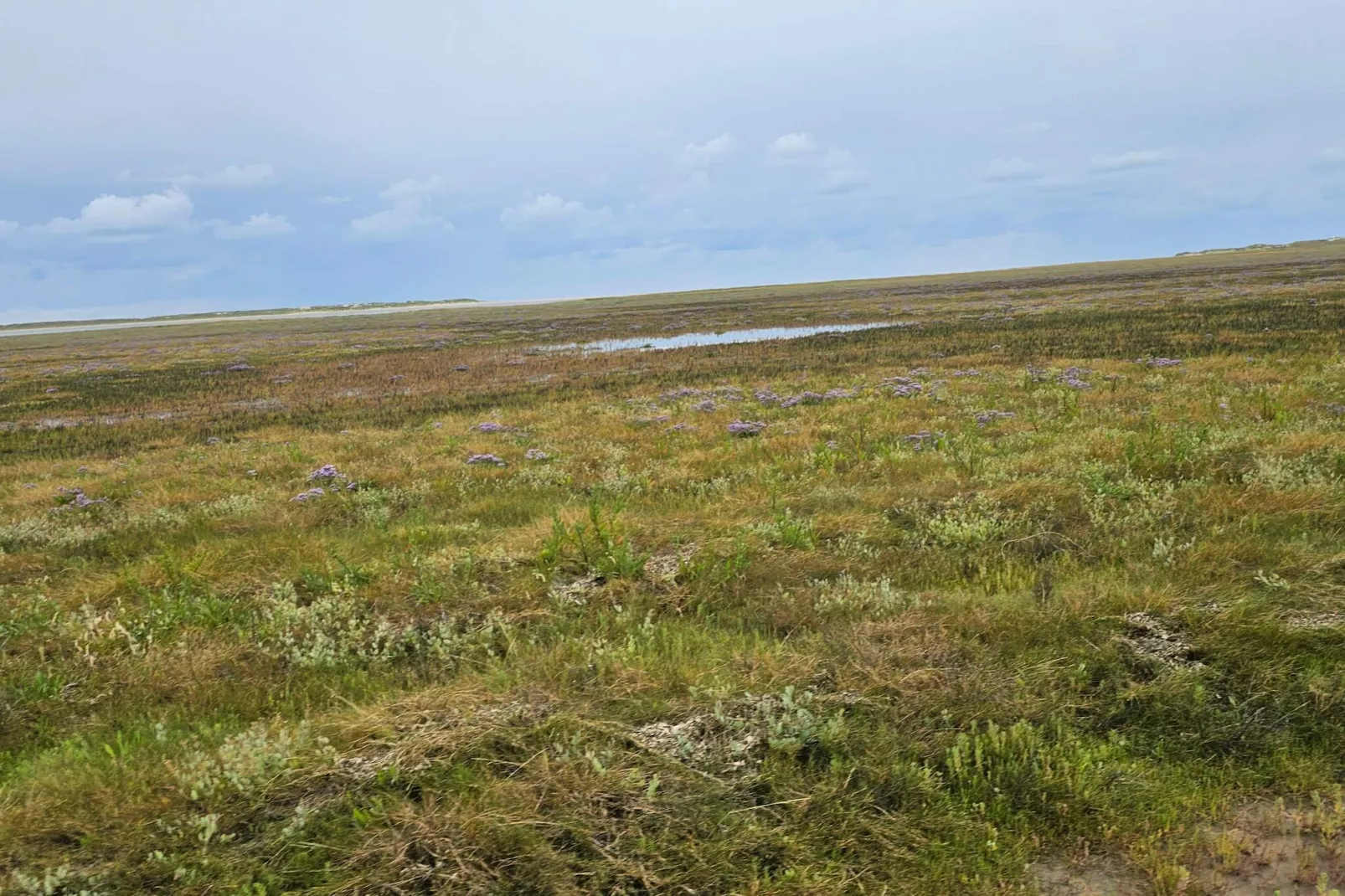 RIM FERIECENTER-Nicht zugeordnet