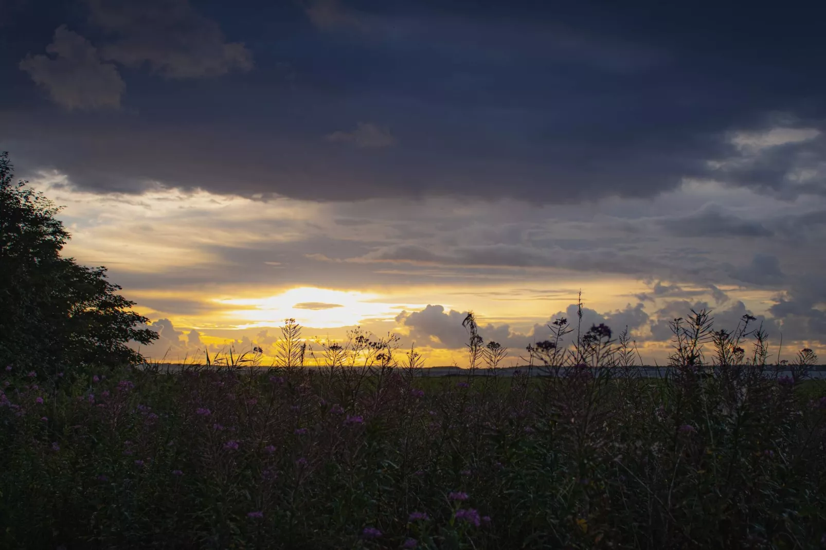 6 person holiday home in Nibe-By Traum