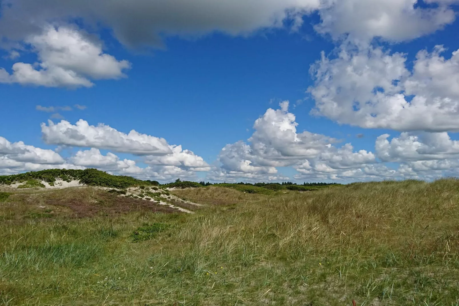 6 person holiday home in Hals-By Traum-Untagged