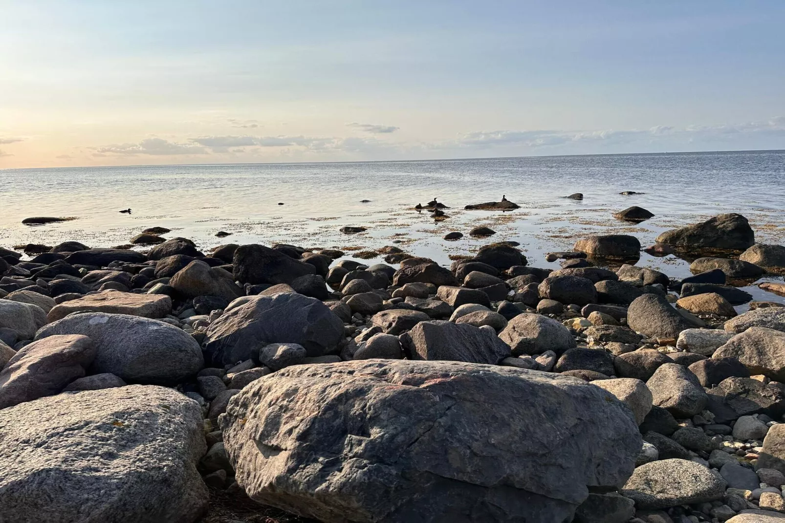 4 Personen Ferienhaus in Martofte-By Traum-Wasserblick