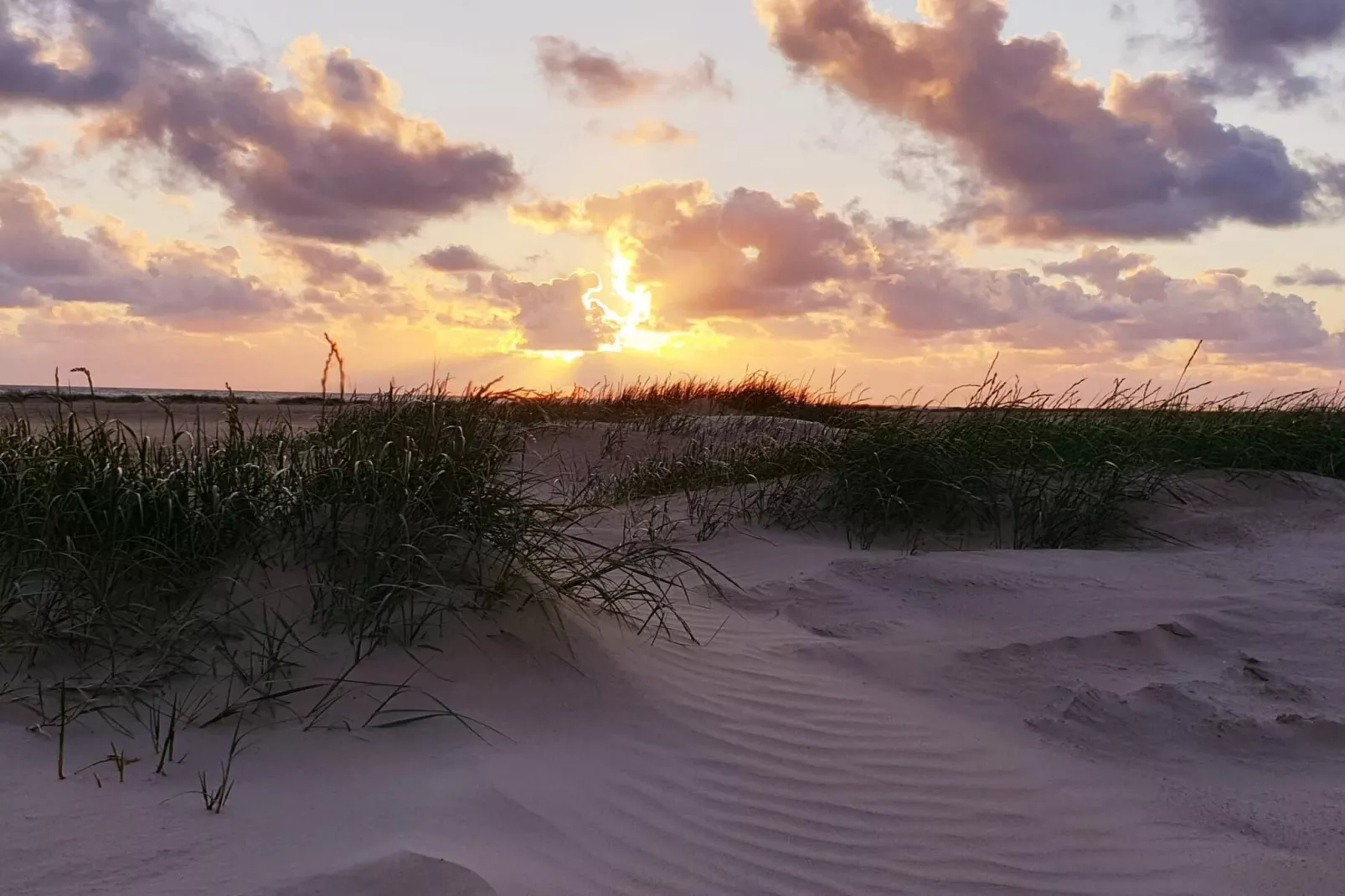 4 Personen Ferienhaus in Fanø-By Traum-Nicht zugeordnet