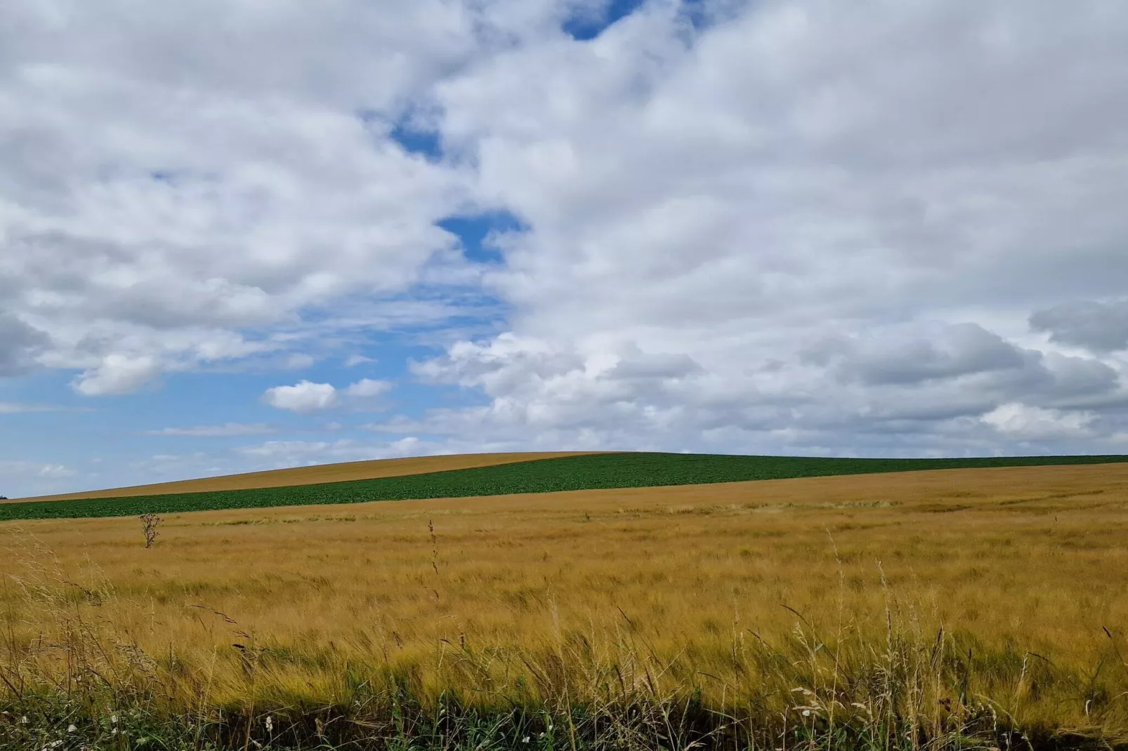 Maison de vacances pour 4 a Stege-By Traum