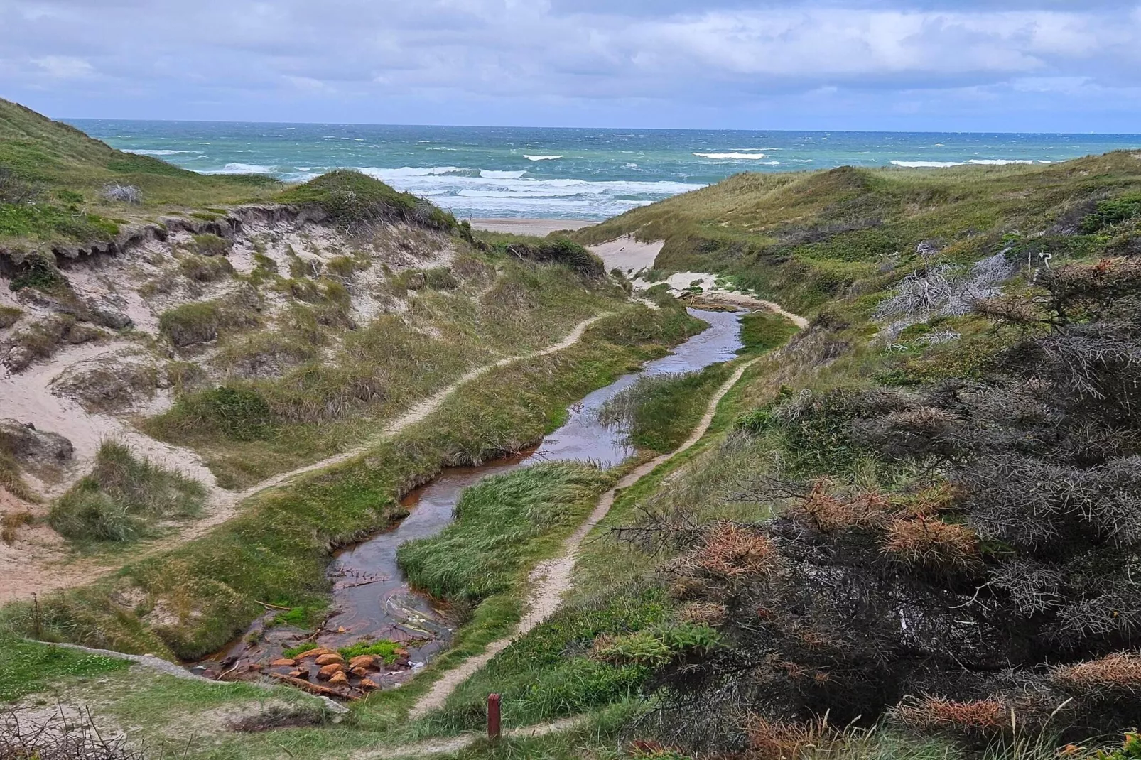 Maison de vacances pour 11 a Thisted-By Traum-Non tagué
