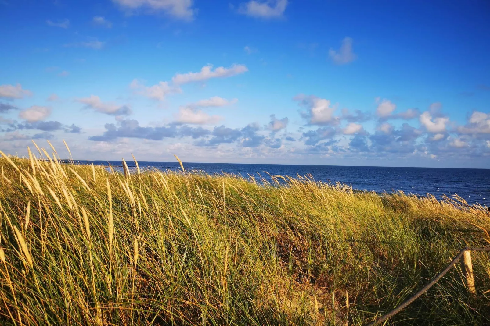 8 Personen Ferienhaus in Blåvand-By Traum