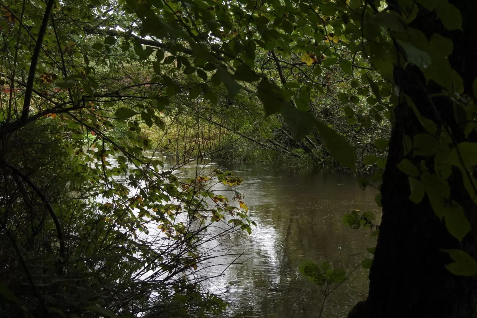 5 person holiday home in Strandby-By Traum