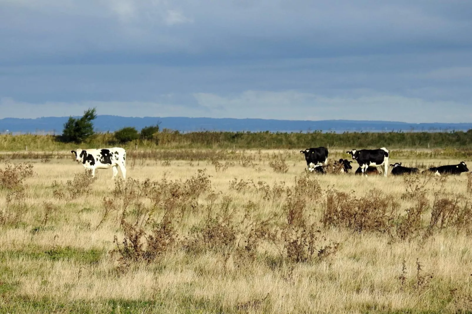 4 person holiday home in Bogense-By Traum-Untagged
