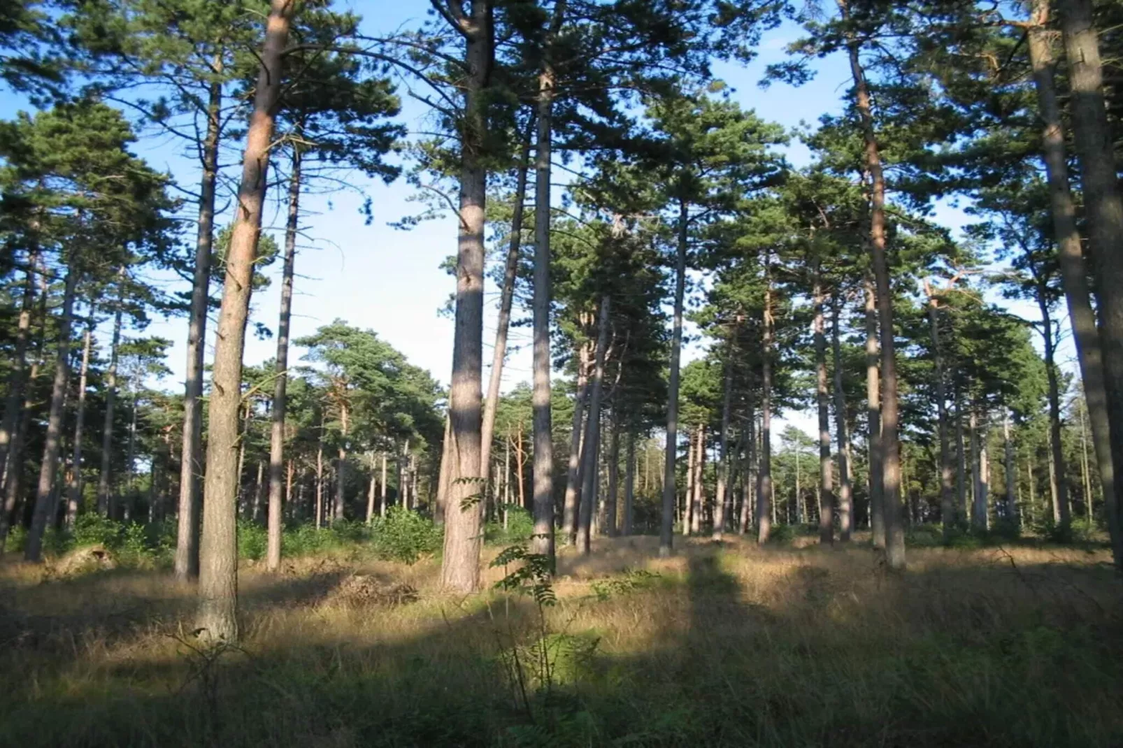 Maison de vacances pour 11 a Væggerløse-By Traum