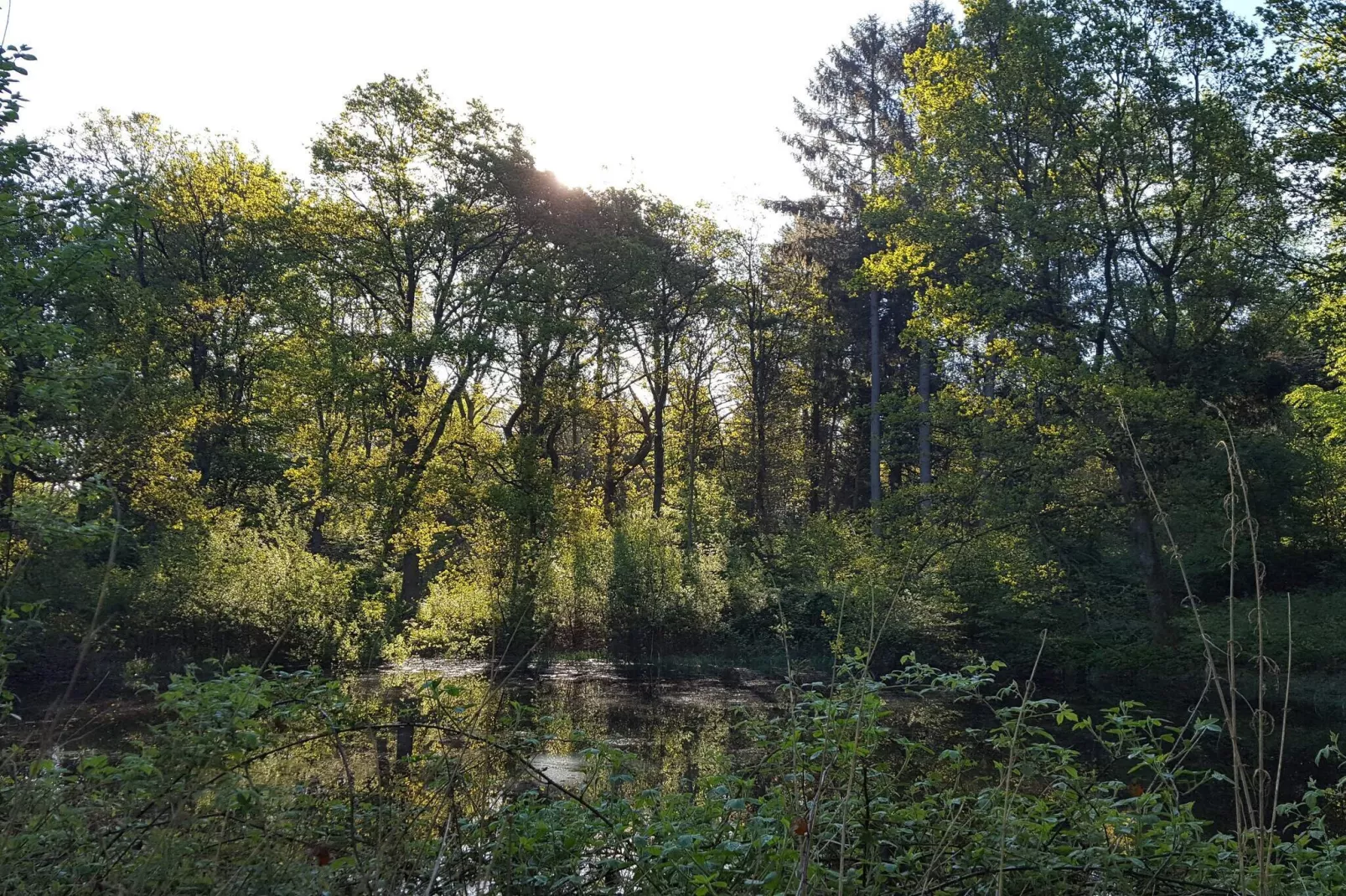 Familienfreundliches Haus am Strand