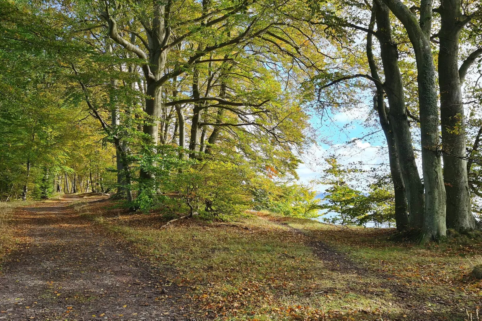 4 Personen Ferienhaus in Faxe Ladeplads-By Traum-Nicht zugeordnet
