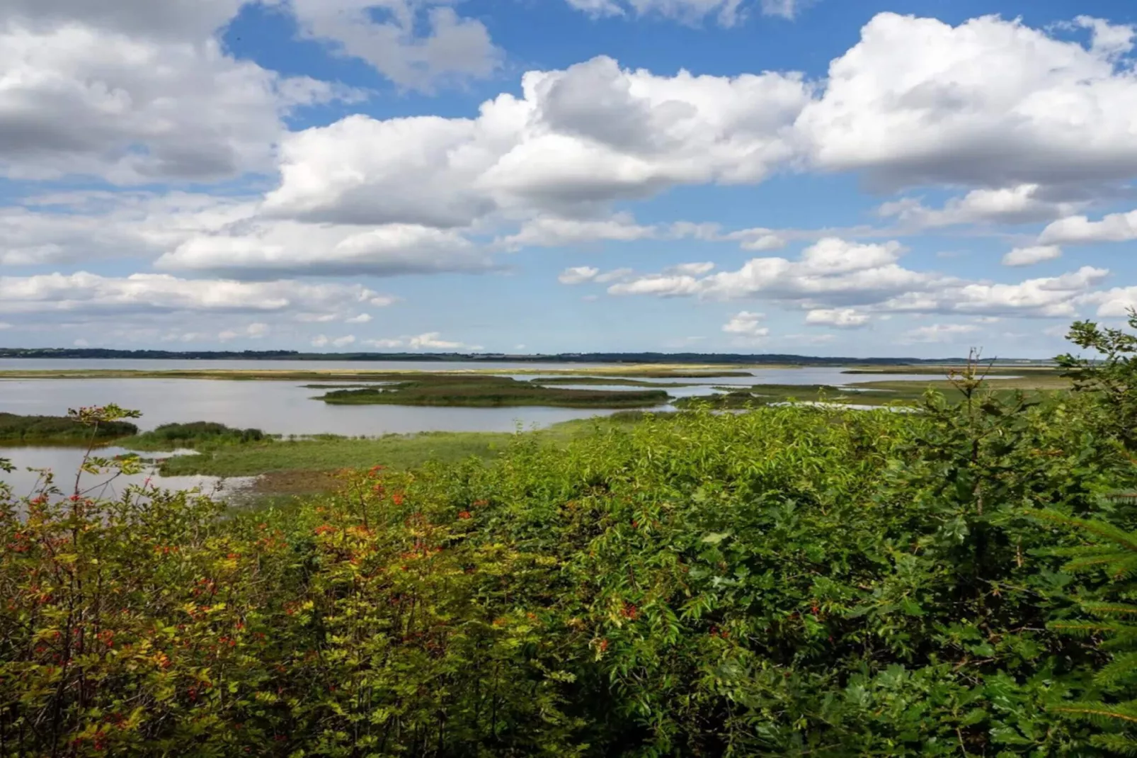 Maison de vacances pour 6 a Vinderup-By Traum-Vue sur l'eau