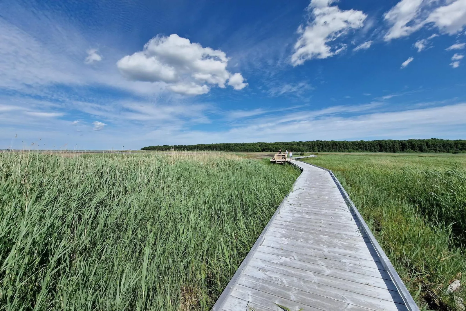 5 Personen Ferienhaus in Mörbylånga-By Traum-Nicht zugeordnet