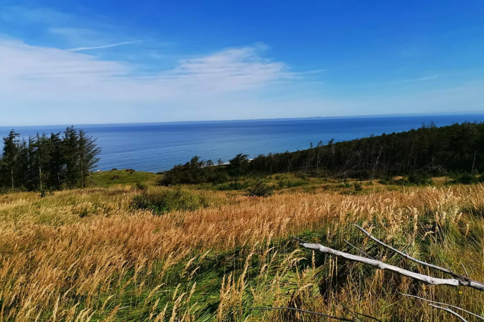 10 person holiday home in Fjerritslev-By Traum-Untagged