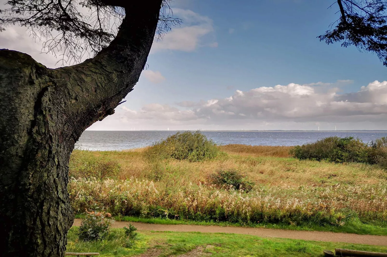 6 person holiday home in Ulfborg