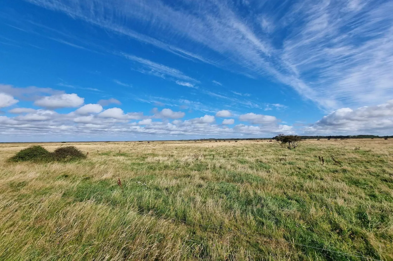 10 Personen Ferienhaus in Tarm-By Traum