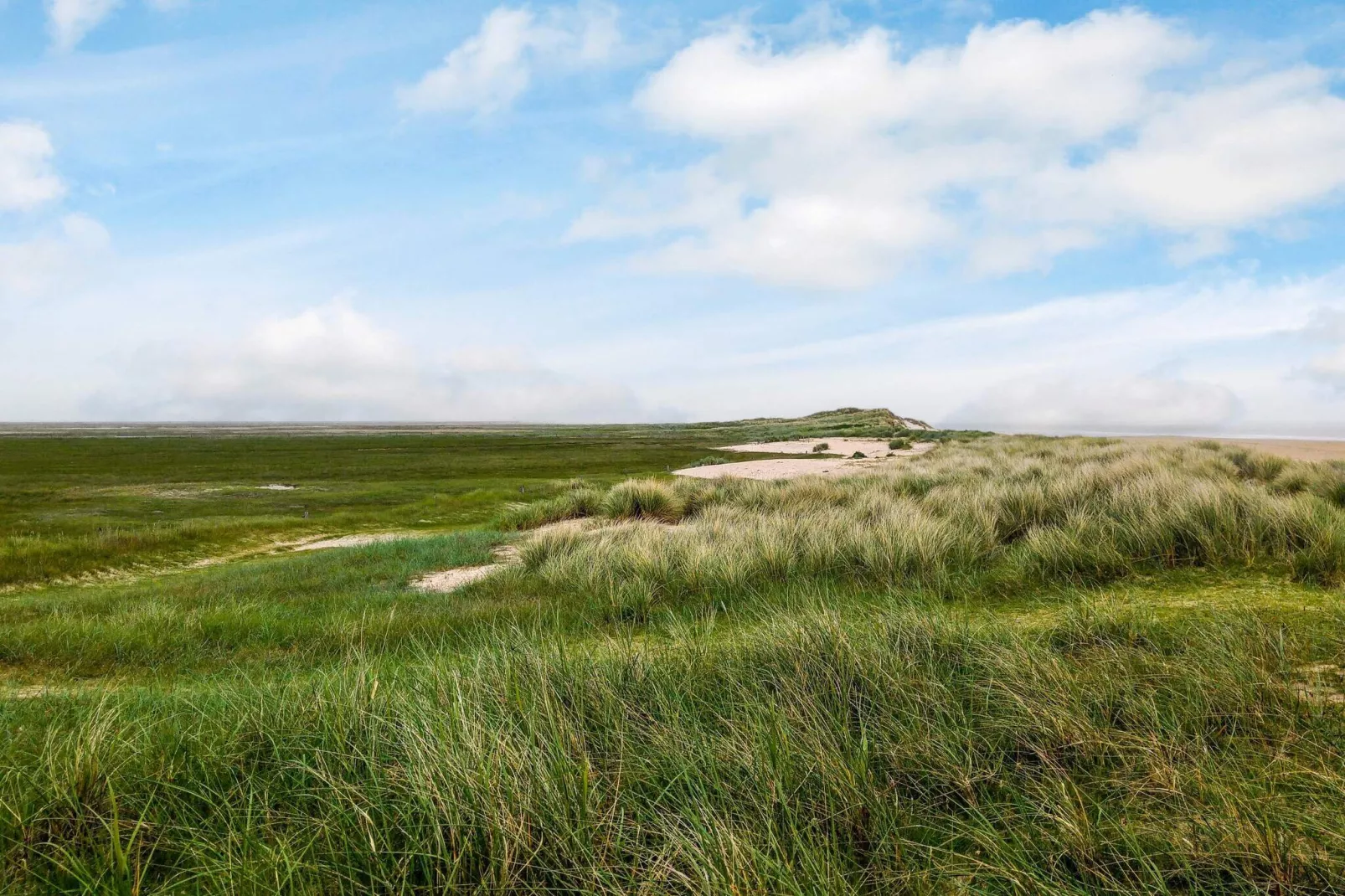 12 person holiday home in Fanø-By Traum-Untagged