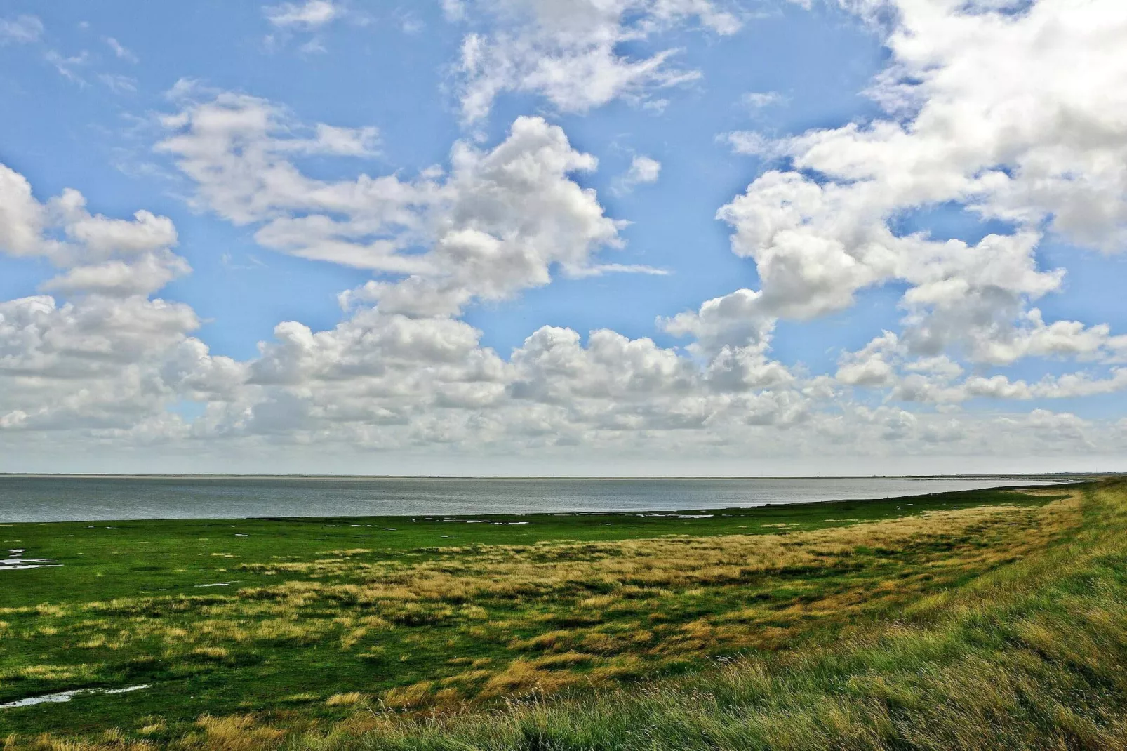 8 person holiday home in Rømø-By Traum-Outdoor