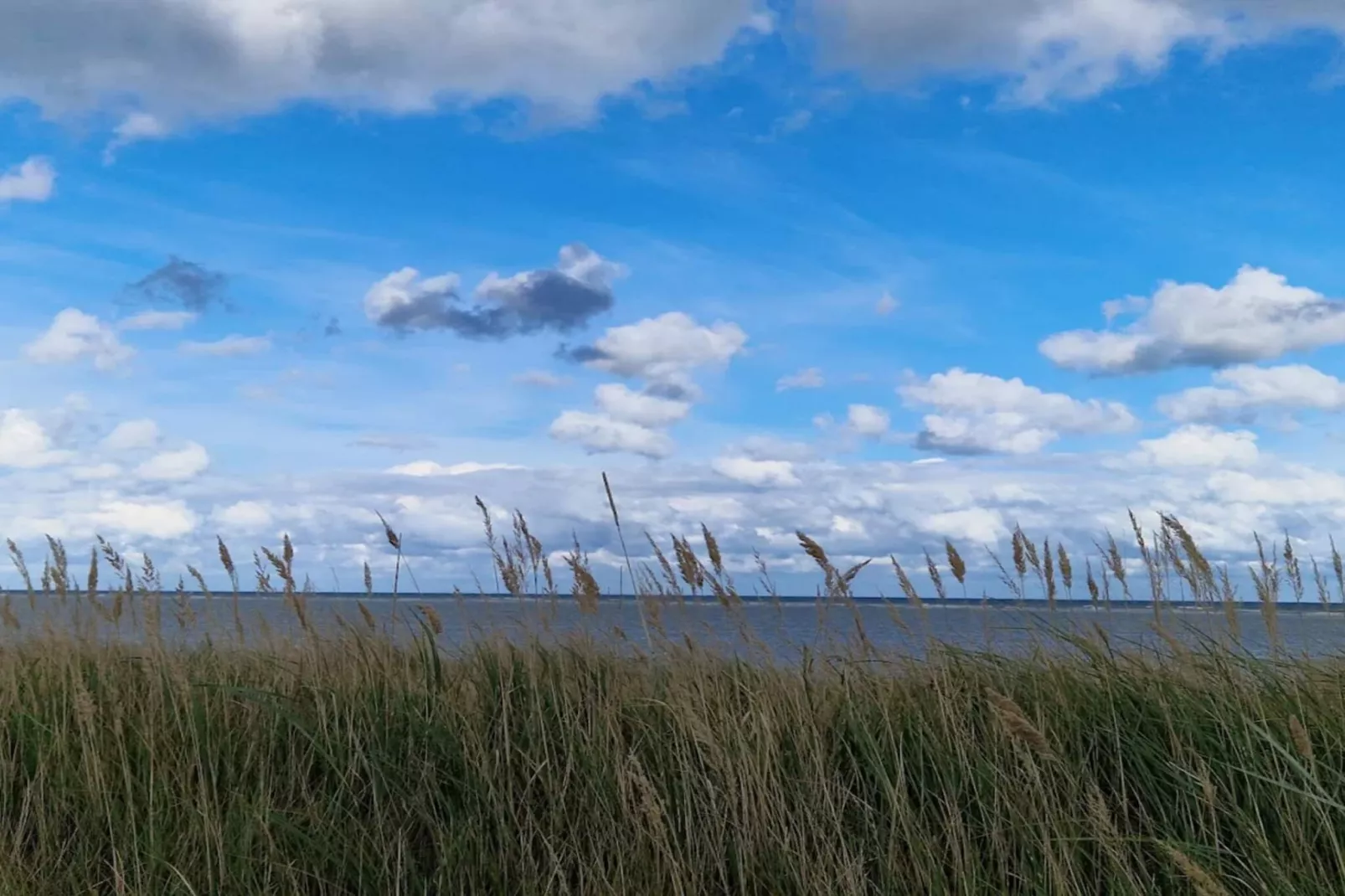 8 person holiday home in Grenaa-By Traum-Untagged