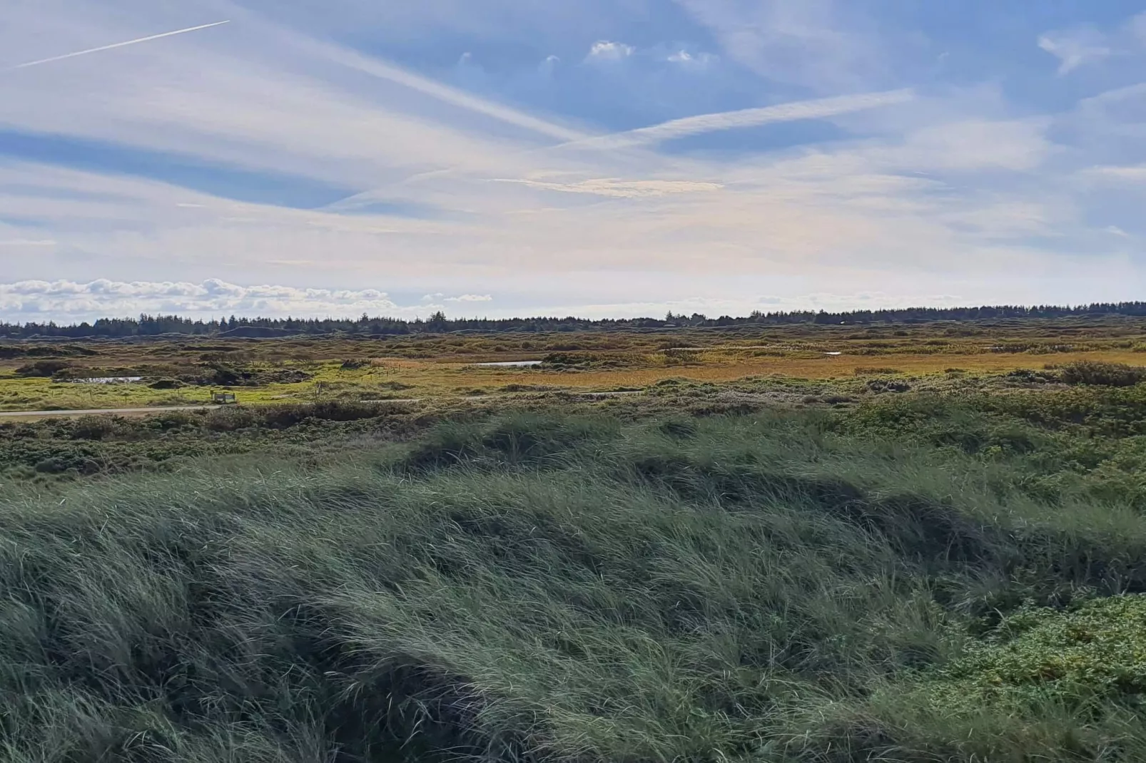 Maison de vacances pour 10 a Fjerritslev-By Traum-Non tagué