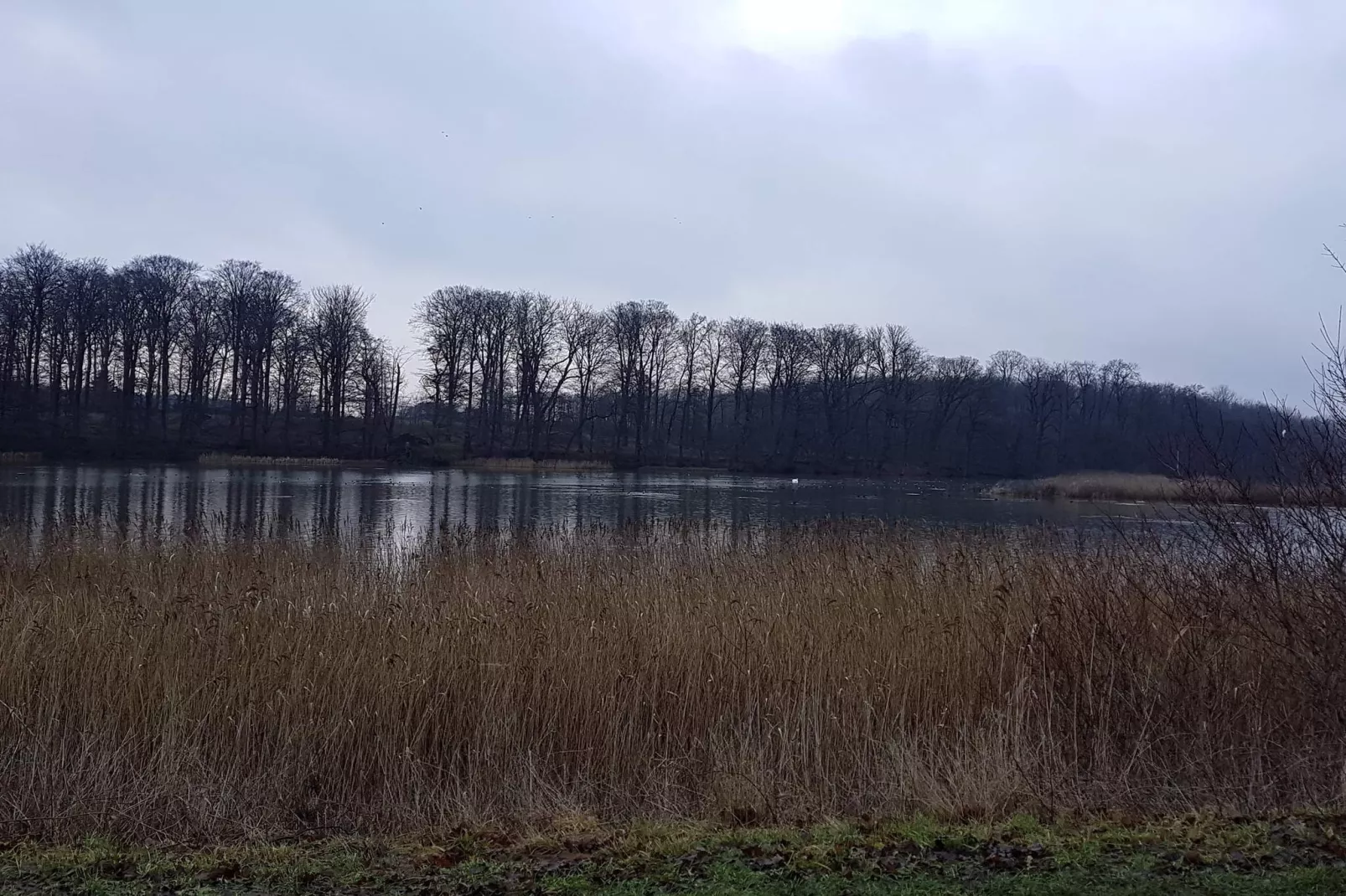 7 person holiday home in Svendborg-By Traum-Untagged