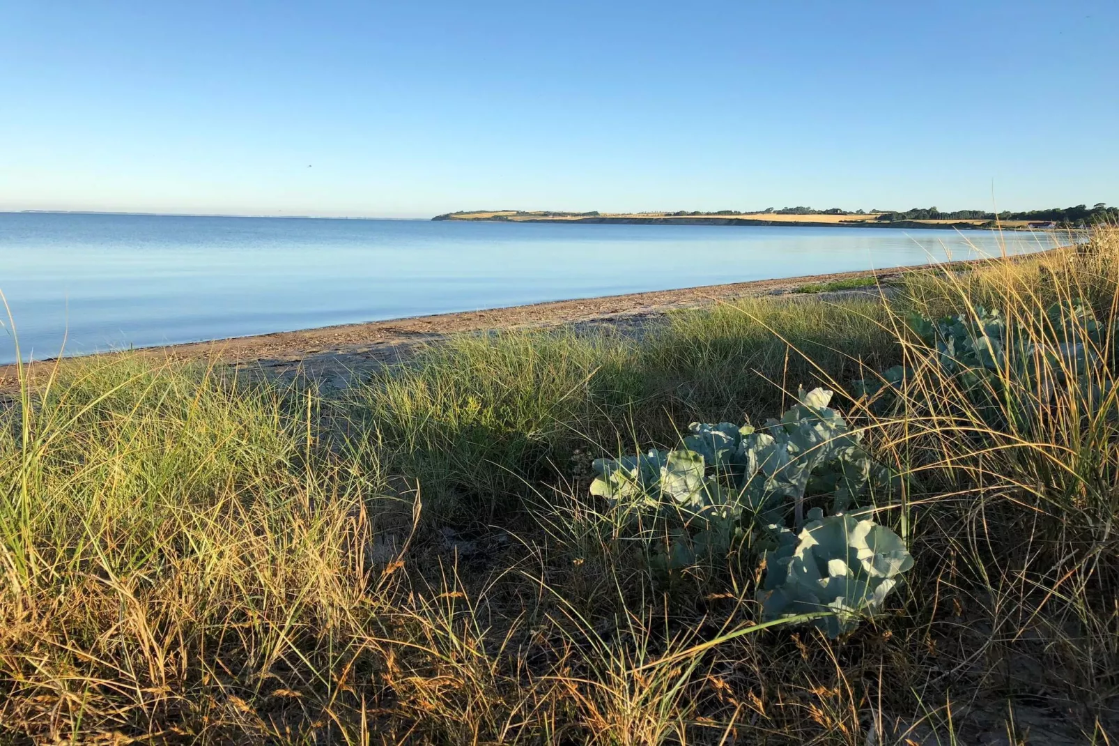 6 person holiday home in Haarby-By Traum-Water view