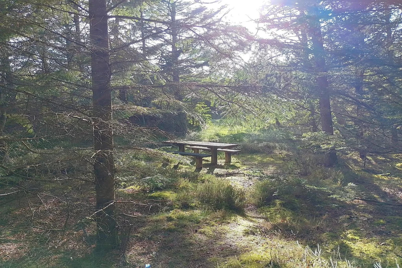 Maison de vacances pour 8 a Frøstrup-By Traum-Non tagué