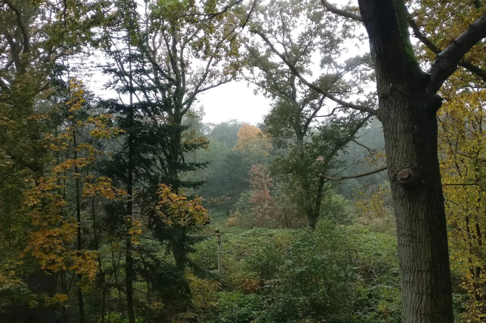 8 person holiday home in Hadsund-By Traum-Untagged