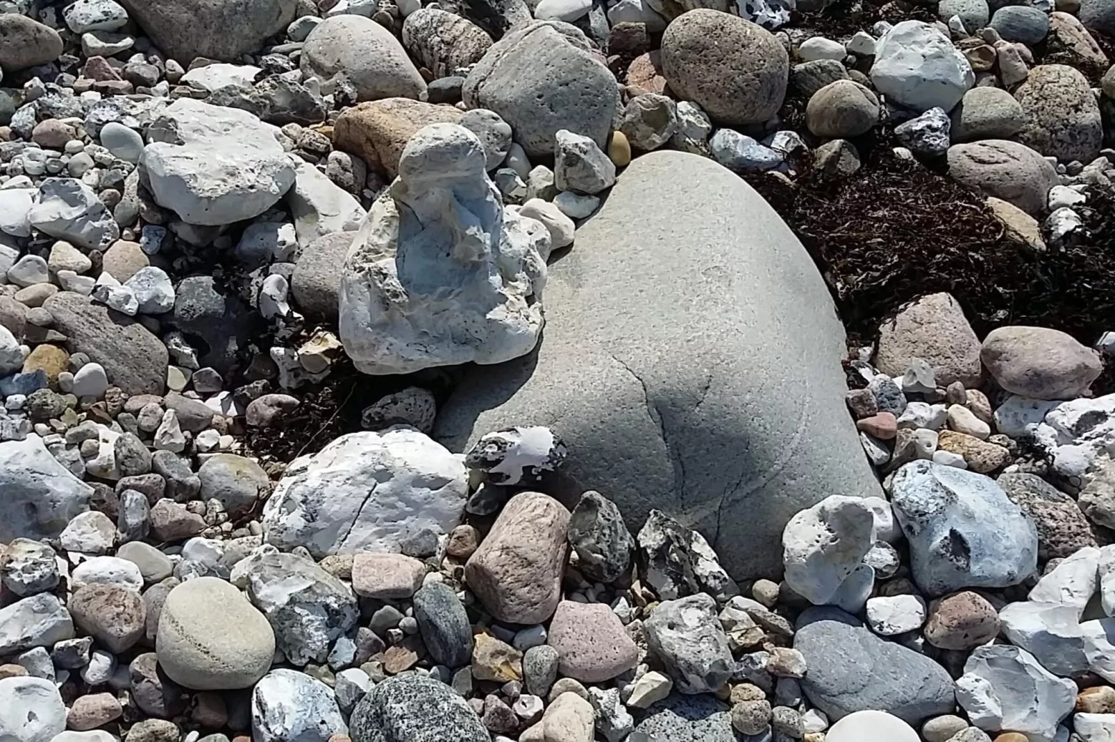 4 Personen Ferienhaus in Føllenslev-By Traum