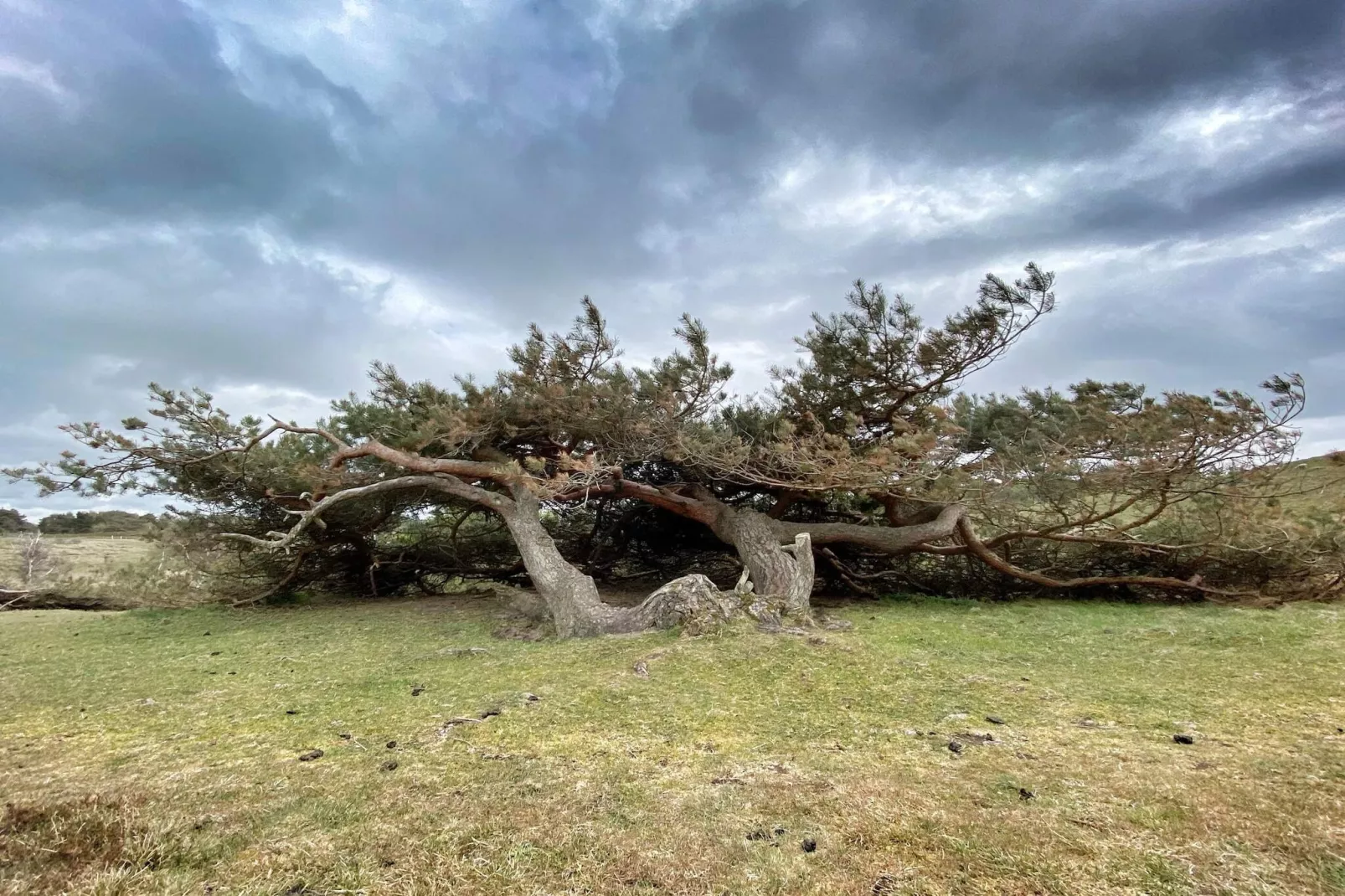 5 person holiday home in Vejby-By Traum