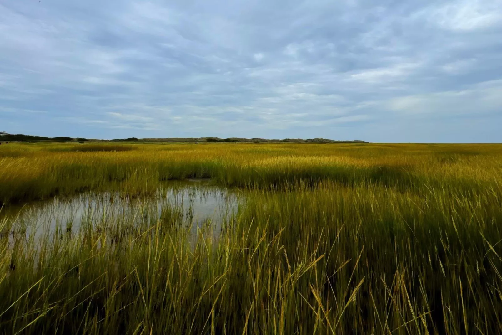 7 Personen Ferienhaus in Fanø-By Traum-Nicht zugeordnet