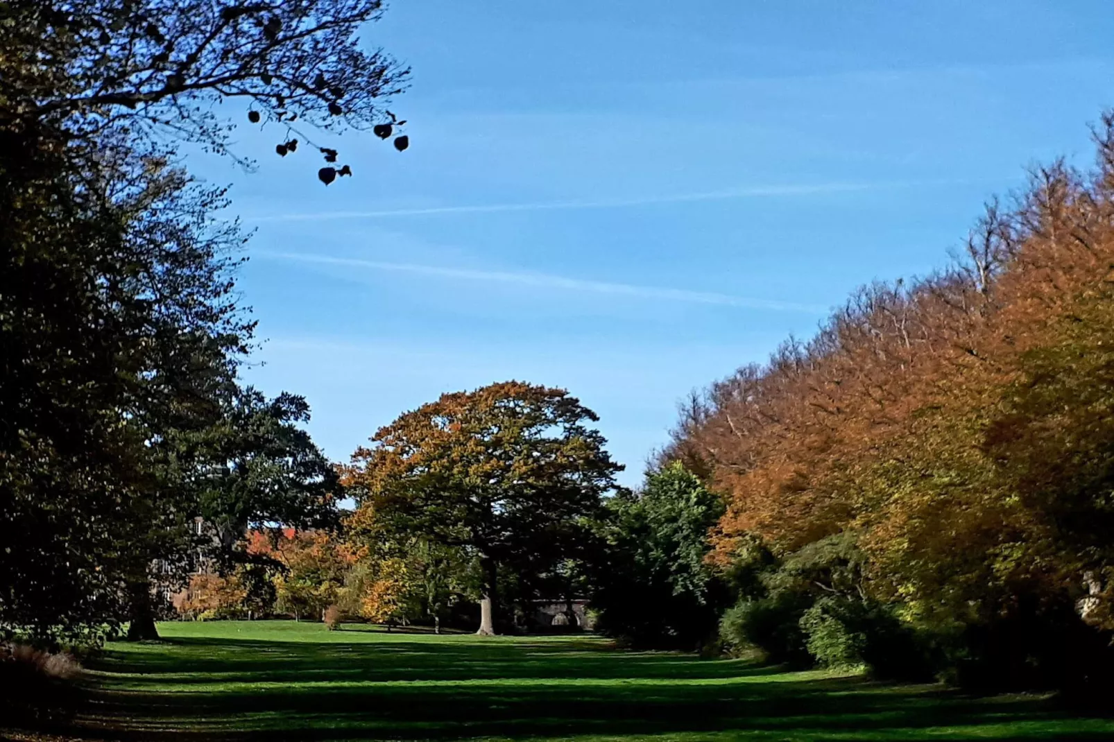 5 person holiday home in Rude-By Traum