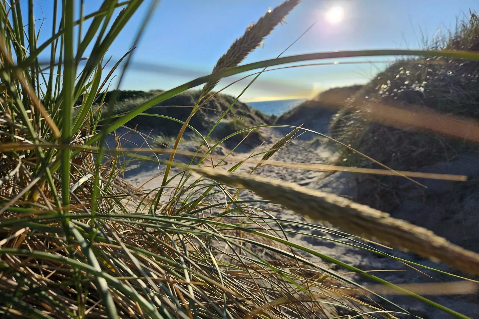 Chalet accessible aux personnes en fauteuil