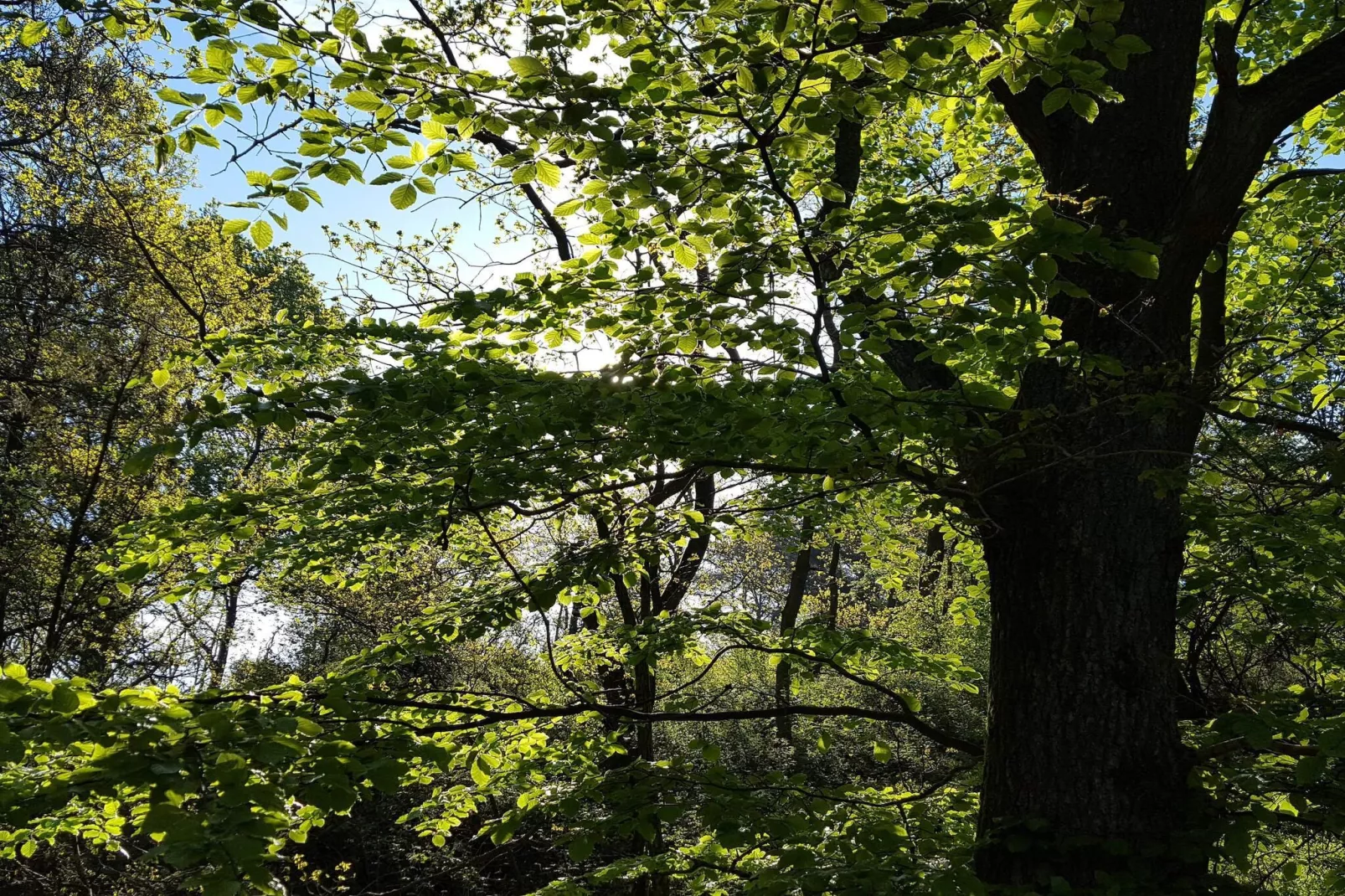 30 Personen Ferienhaus in Ebeltoft-By Traum