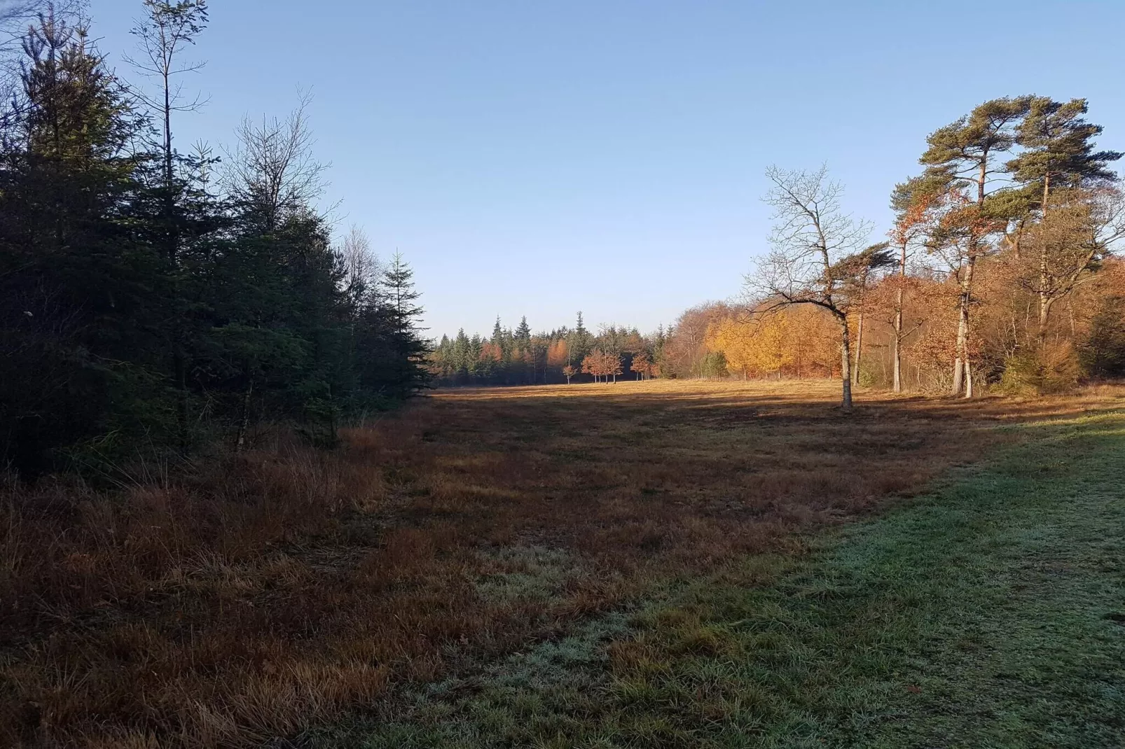 4 Personen Ferienhaus in Toftlund-By Traum-Nicht zugeordnet