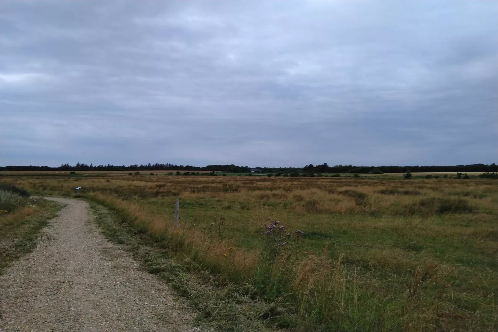 5 Personen Ferienhaus in Esbjerg V-By Traum