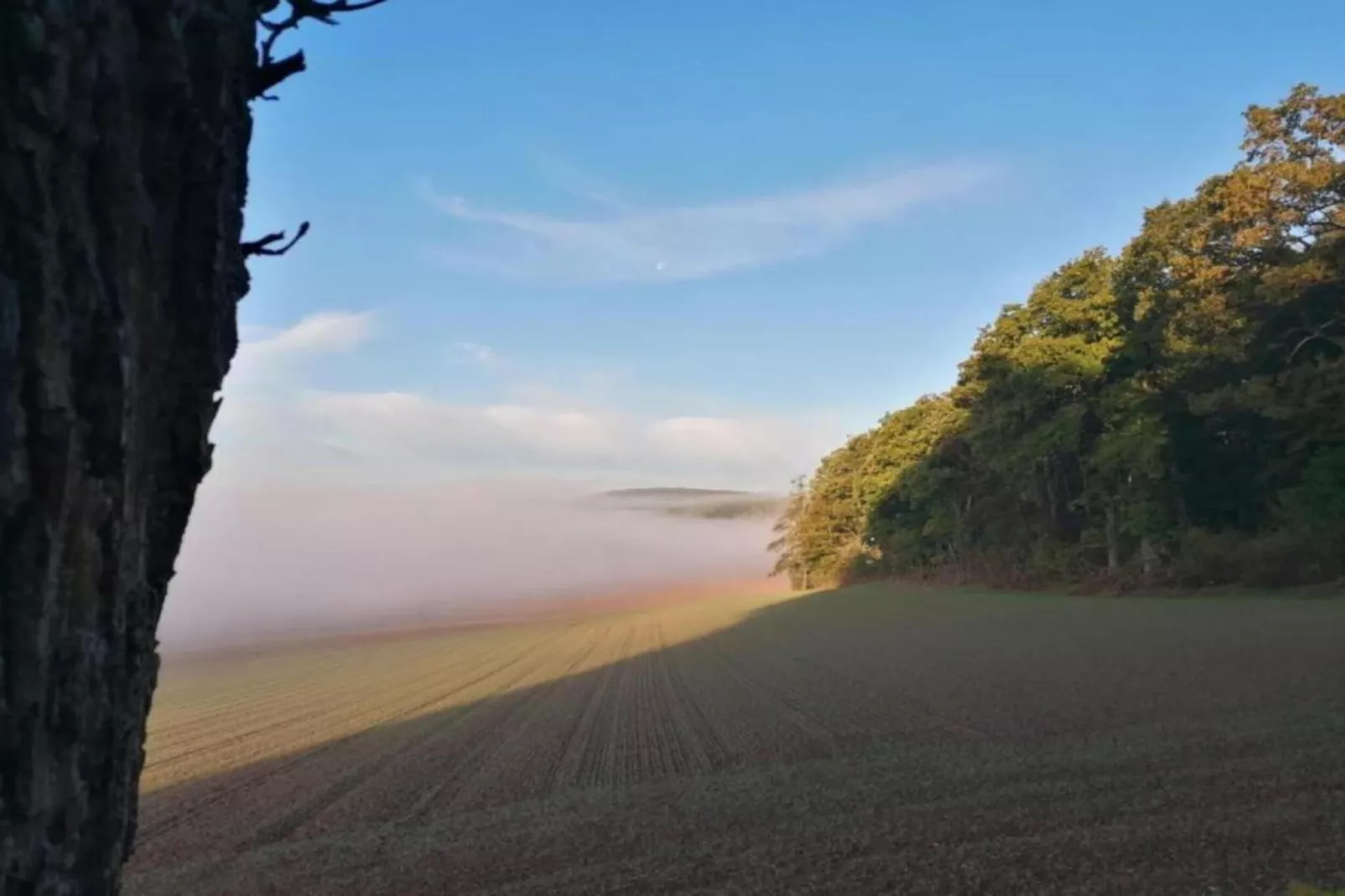 Weserbergland - Bad Pyrmont-Areas within 20km in summer