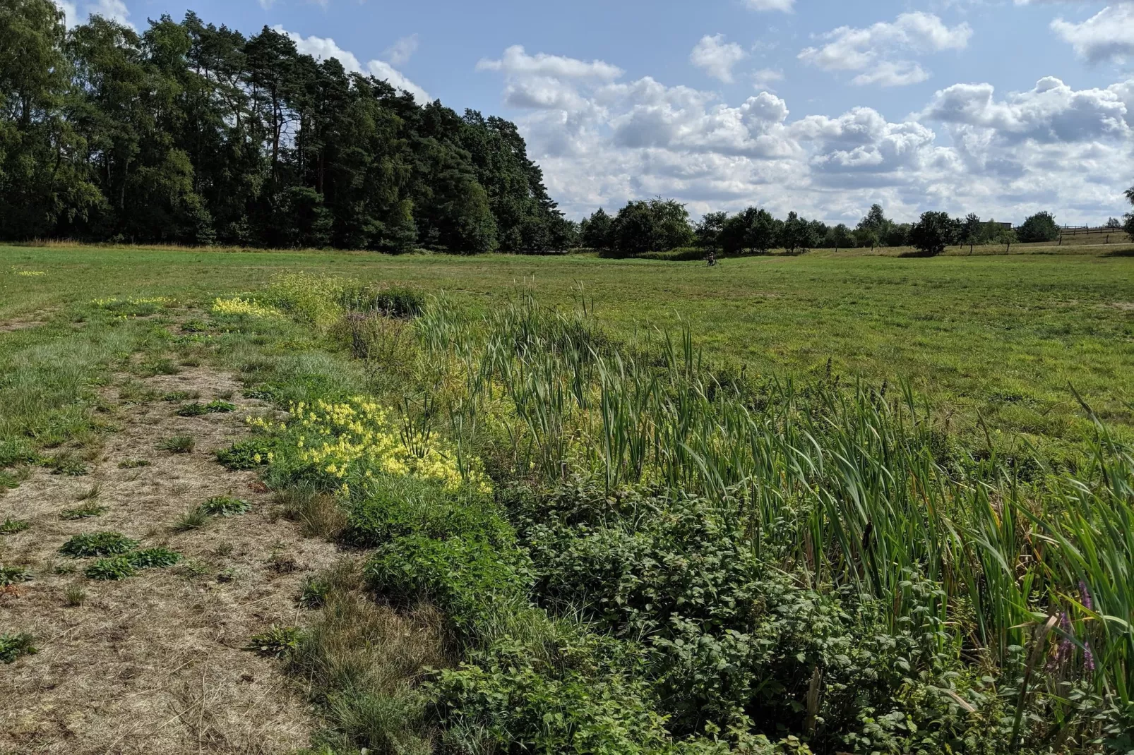 Ferienwohnung 40 qm-Gebiete Sommer 1 km